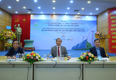 Cần cơ chế thu hút đầu tư phát triển bền vững năng lượng tái tạo 