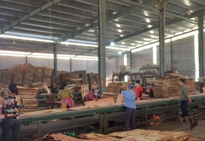 Nhiều mối lo ngại trong giao thương gỗ nguyên liệu 