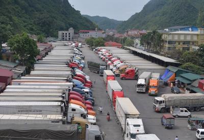 Khẩn trương khắc phục tình trạng ùn tắc nông sản ở cửa khẩu Lạng Sơn