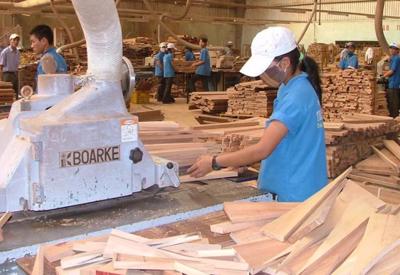 Xuất khẩu đạt kỷ lục gần 15 tỷ USD,  gỗ Việt vẫn lo ngay ngáy bị hàng Trung Quốc "đội lốt" 