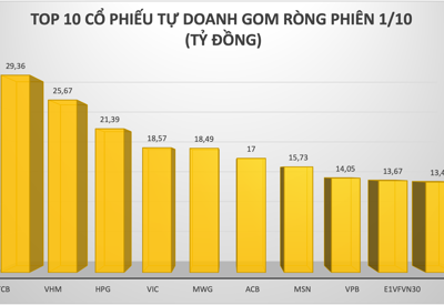 Tự doanh tích cực gom hàng trong phiên Vn-Index "bốc hơi" gần 25 điểm