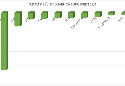 Tự doanh xả ròng phiên bốc hơi 43 điểm, cổ phiếu nào bị "phang" nhiều nhất? 