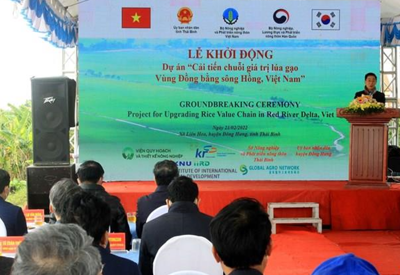 Khởi động dự án Cải tiến chuỗi giá trị lúa gạo vùng Đồng bằng sông Hồng