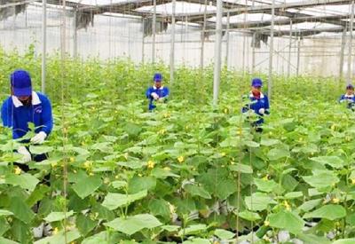 Thực hiện sứ mệnh đổi mới nông nghiệp thích ứng với biến đổi khí hậu
