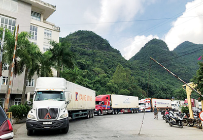 “Thức tỉnh” để tái cơ cấu sản xuất nông nghiệp