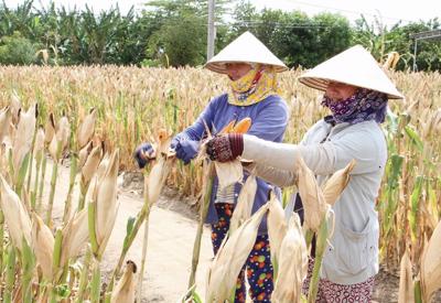Tỷ lệ hộ nghèo cả nước giảm còn 2,23%