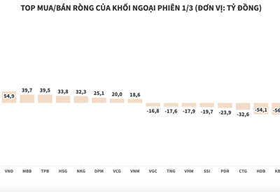 Khối ngoại gom chứng chỉ quỹ FUEVFVND, tiếp tục xả HPG