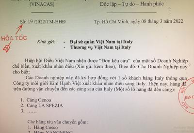 Một số ngân hàng liên quan rủi ro gần 1.000 tỷ đồng xuất khẩu điều sang Italia