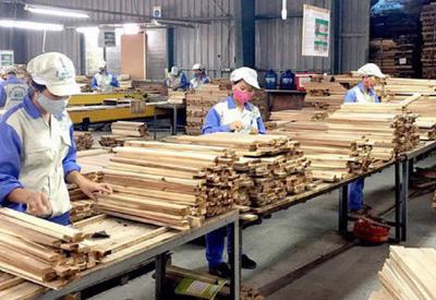 Cuộc chiến Nga - Ukraine đẩy ngành gỗ Việt Nam vào nguy cơ thiếu nguyên liệu