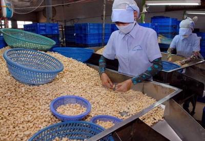 Bộ Công Thương hỗ trợ "giải cứu" 36 container điều bị mất kiểm soát