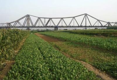 Hà Nội sẽ phát triển bãi giữa, bãi ven sông Hồng thành công viên văn hóa du lịch