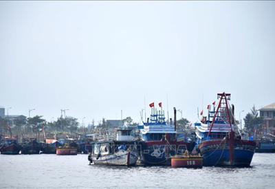 Ngành nông nghiệp phải làm gì để tiêu hết 60.000 tỷ đồng vốn đầu tư?