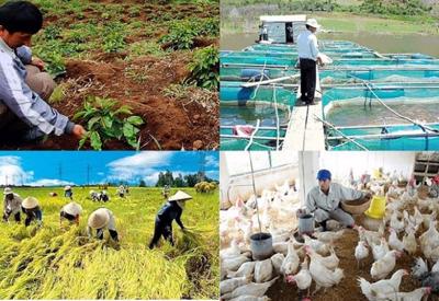 Bức tranh nông nghiệp quý 1/2022: Sản xuất lúa, chăn nuôi gặp khó, thủy sản và lâm nghiệp tăng trưởng tích cực