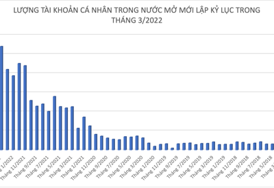 Kỷ lục lịch sử: 271.000 tài khoản cá nhân mở mới, Việt Nam cán mốc 5% dân số “đánh” chứng khoán