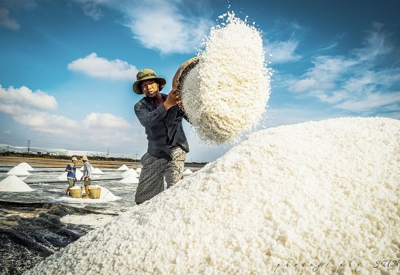 Bạc Liêu, Đồng Tháp...hướng đến phát triển bền vững, nông dân "đổi đời"