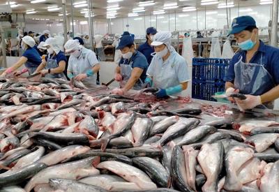 Doanh nghiệp cá tra Việt Nam tìm kiếm cơ hội ở Hội chợ thủy sản toàn cầu 