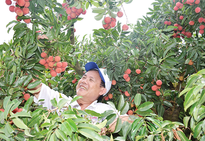 Báo chí góp phần định hình chiến lược phát triển nông nghiệp