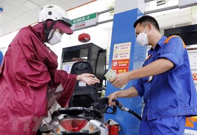 7 doanh nghiệp đầu mối xăng dầu bị rút giấy phép sắp được hoạt động trở lại