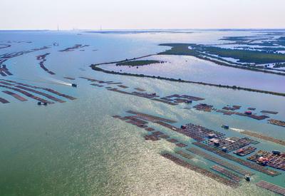 Ninh Thuận thành lập Khu kinh tế ven biển phía Nam với tổng diện tích 43.900 ha