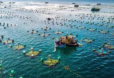 Việt Nam và Na Uy hợp tác phát triển ngành nuôi biển bền vững