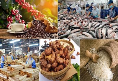 Xuất khẩu nông lâm thủy sản tăng 5,7%, Trung Quốc là thị trường tiêu thụ lớn nhất