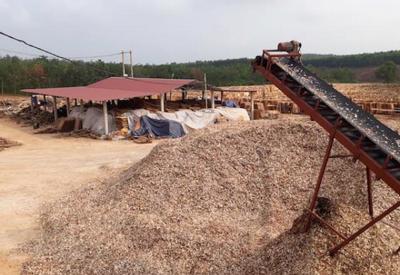 Quảng Trị “đau đầu” với các nhà máy sản xuất dăm gỗ trái phép