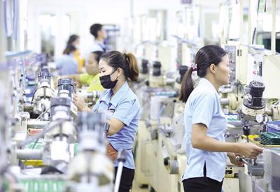 Doanh nghiệp châu Âu tại Việt Nam: Thách thức kinh doanh vẫn lớn nhưng quý 3 tích cực hơn 