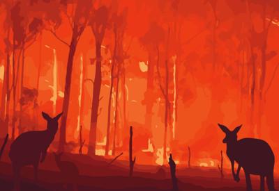 Australia thí điểm sử dụng camera AI ngăn chặn cháy rừng