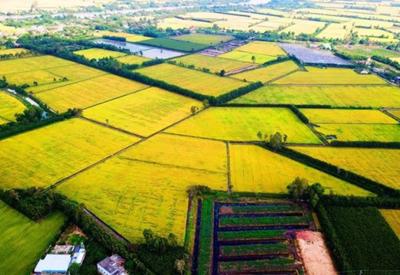Năm 2023: Đồng bằng sông Cửu Long thu hút khoảng 100 nghìn tỷ đồng đầu tư vào nông nghiệp 