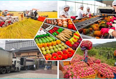 Tăng năng lực xuất khẩu cho nông sản Việt Nam