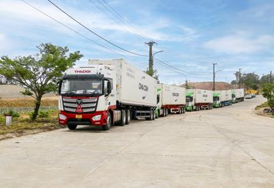 Logistics tăng sức mạnh cạnh tranh cho nông sản xuất khẩu