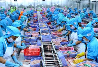 Xuất khẩu cá ngừ Việt Nam sang Anh đảo chiều giảm