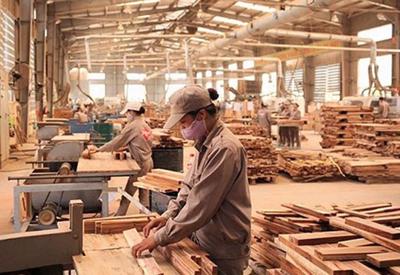 Xuất khẩu gỗ và sản phẩm gỗ đang dần phục hồi nhưng khó hoàn thành mục tiêu 