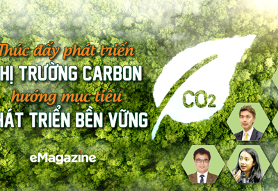 Thúc đẩy phát triển thị trường carbon, hướng mục tiêu phát triển bền vững