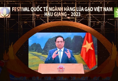 Festival lúa gạo Việt Nam - Hậu Giang 2023: Khẳng định vị thế của ngành lúa gạo 