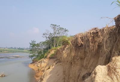 Thanh Hóa tìm giải pháp ngăn sạt lở nghiêm trọng tại sông Chu, sông Mã