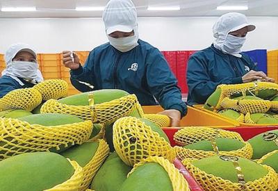 Nông sản Việt cần đầu tư công nghệ, chế biến sâu để chiếm lĩnh thị trường Hoa Kỳ