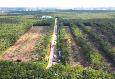 Đồng Nai: Duyệt khu tái định cư 31,5 ha cho cao tốc Biên Hòa - Vũng Tàu