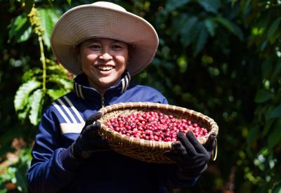 Sàn giao dịch hàng hoá thế giới vắng bóng nông sản Việt