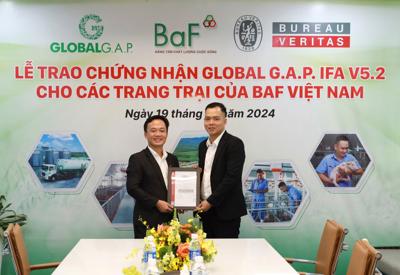Trang trại chăn nuôi heo của BAF Việt Nam đạt chứng nhận quốc tế GlobalG.A.P