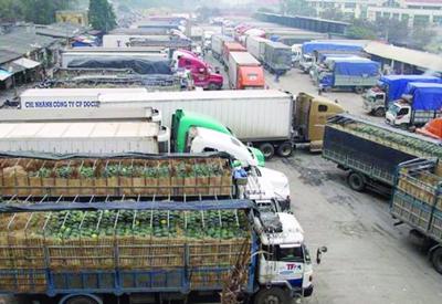 Thủ tướng yêu cầu tăng cường kết nối logistics thúc đẩy tiêu thụ, xuất khẩu nông lâm thủy sản