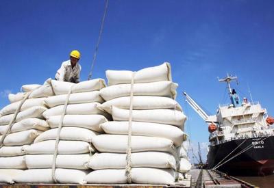 Sớm đẩy nhanh đàm phán để mở rộng danh mục chủng loại gạo xuất khẩu vào EU