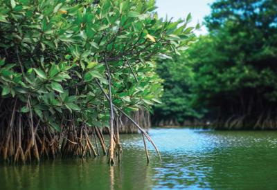 Wyndham Grand Lagoona Bình Châu - Nghỉ dưỡng bình yên và đầu tư bền vững 