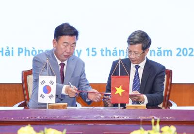 Hải Phòng thúc đẩy quan hệ hợp tác với thành phố lớn của Hàn Quốc 