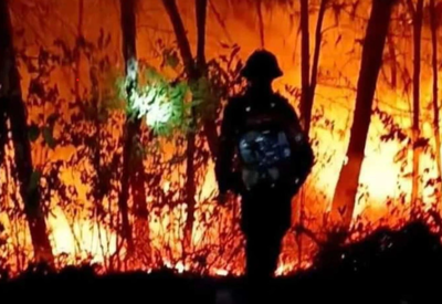 Thủ tướng chỉ đạo triển khai quyết liệt các biện pháp phòng, chống cháy rừng