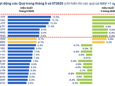 VN-Index hồi phục ngoạn mục, 22 quỹ cổ phiếu báo hiệu suất tăng kỷ lục trong một năm qua 