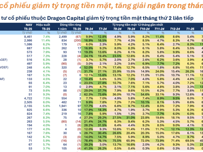 Hiệu suất bay cao, các quỹ cổ phiếu mạnh tay "xuống tiền" trong tháng 5 