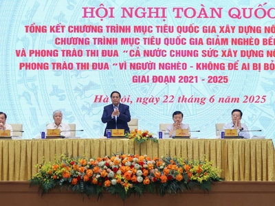 Thủ tướng: Thực hiện “4 đẩy mạnh” để đưa nông thôn tiến lên hiện đại