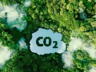 Mức chi trả, giá trao đổi, chuyển nhượng dịch vụ hấp thụ và lưu giữ carbon của rừng