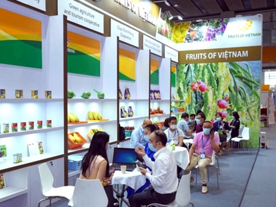 Thúc đẩy xúc tiến thương mại toàn diện trong và ngoài nước